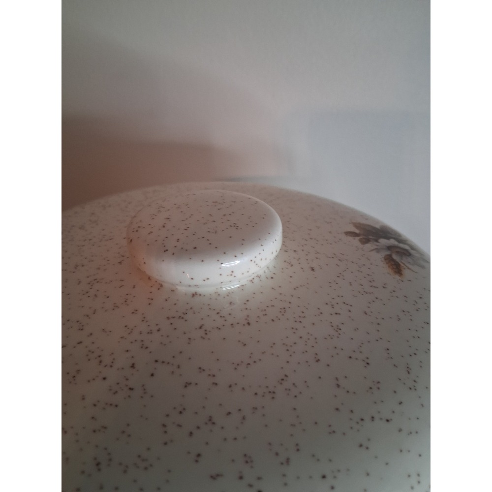 Speckled Stoneware Casserole Dish with Lid Floral Wheat Design Cream - Picture 7 of 8